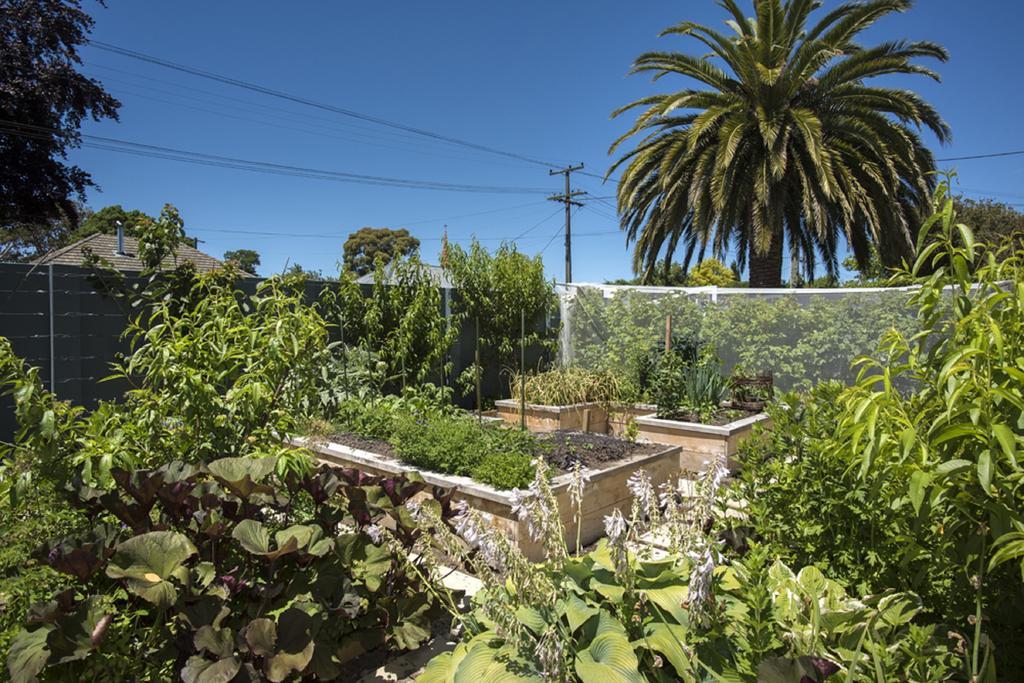 Botanica Marlborough Bed & Breakfast Blenheim Exterior photo